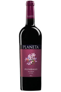 Planeta Plumbago 2011